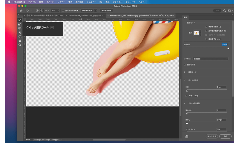 左のパネルから、クイック選択ツールのブラシなどで選択範囲を選んでいく