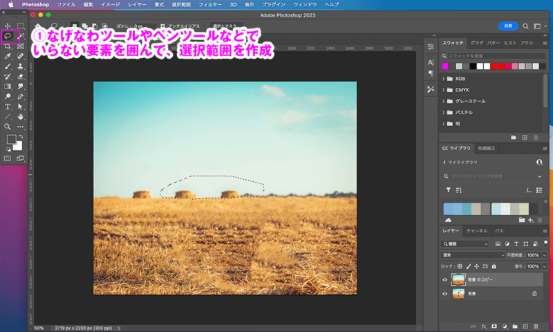 Photoshopのなげなわツールやペンツールなどでいらない要素を囲み、選択範囲を作成